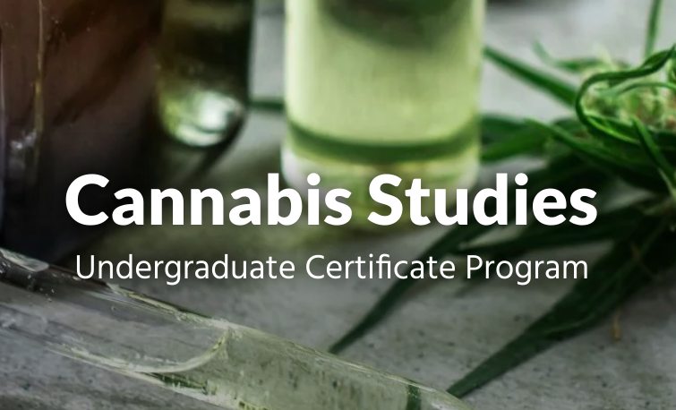 Undergraduate Certificate in Cannabis Studies